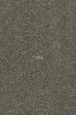 AW Vivendi Punch 29 фото 1 | FLOORDEALER